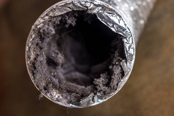 Best Emergency Air Duct Cleaning  in Arcadia, LA