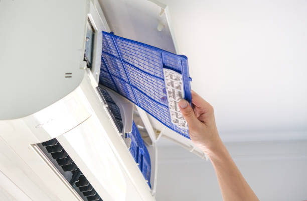 Best Local Air Duct Cleaning Services  in Arcadia, LA