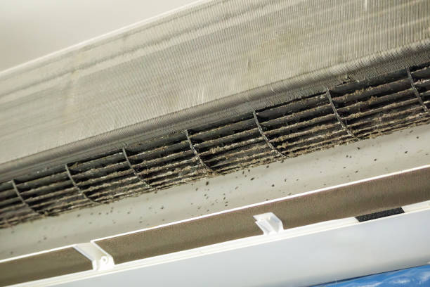 Best Emergency Air Duct Cleaning  in Arcadia, LA
