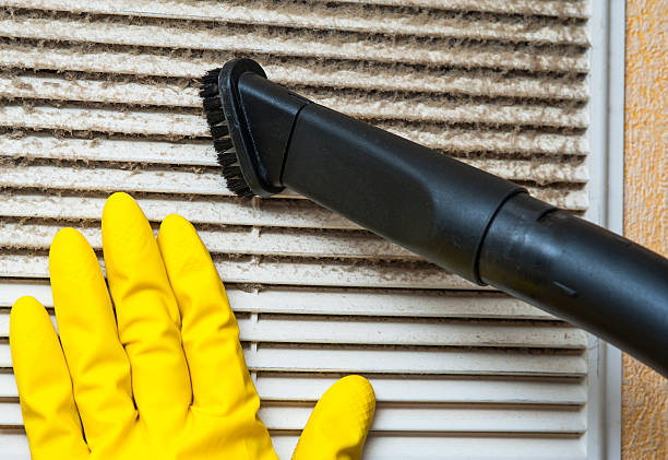 Best Local Air Duct Cleaning Services  in Arcadia, LA